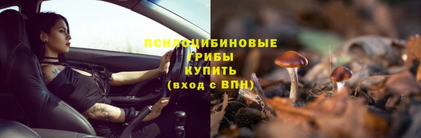 прущая мука Зеленодольск