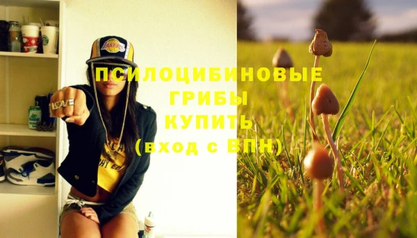 герыч Козловка