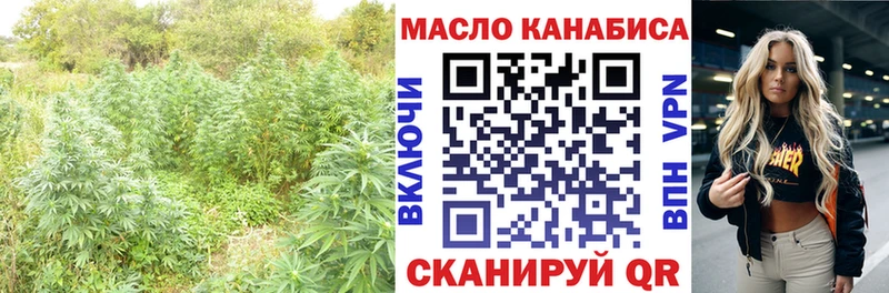 Купить где  Карабаново  ТГК гашишное масло 
