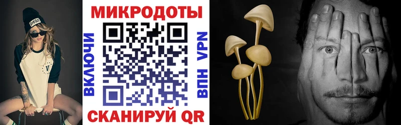 Псилоцибиновые грибы прущие грибы Купить закладки Карабаново